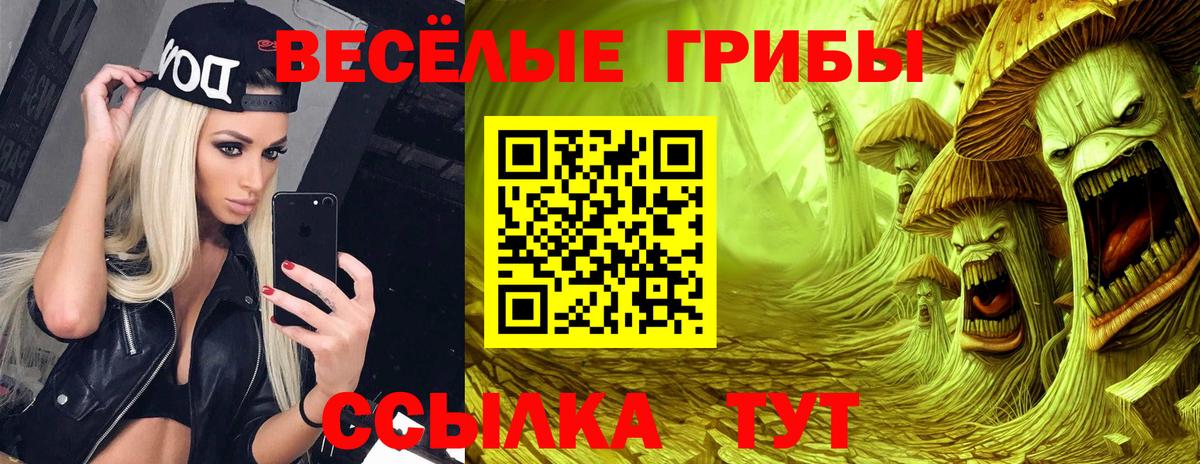 Псилоцибиновые грибы MAGIC MUSHROOMS  Вход с VPN  Галлюциногенные грибы мицелий  Тверь 